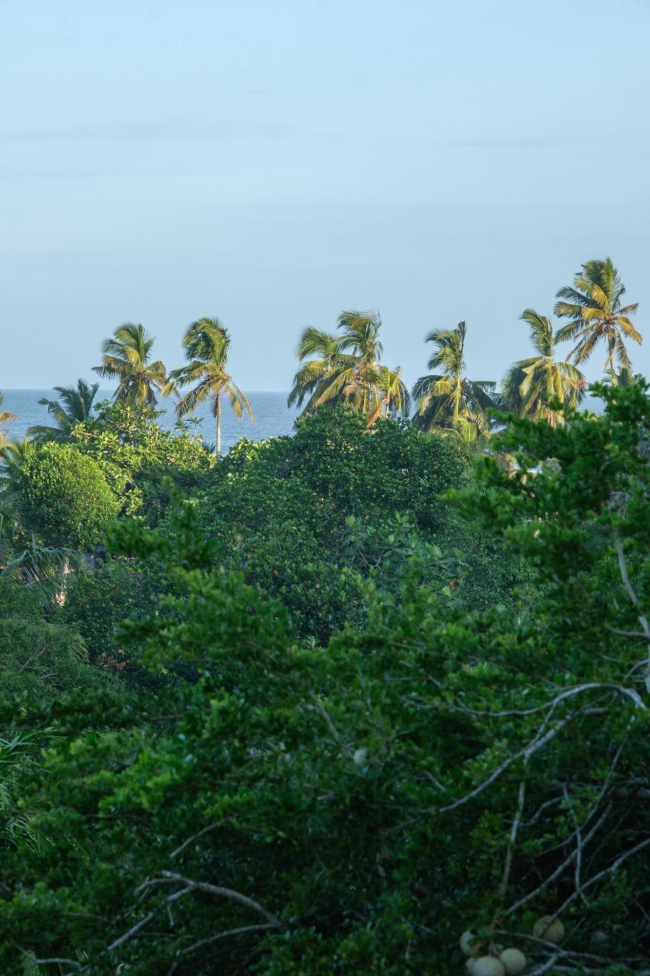 Hotel The Jungle View Mirissa Zewnętrze zdjęcie